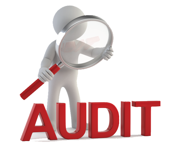 dealership manufacturer audit